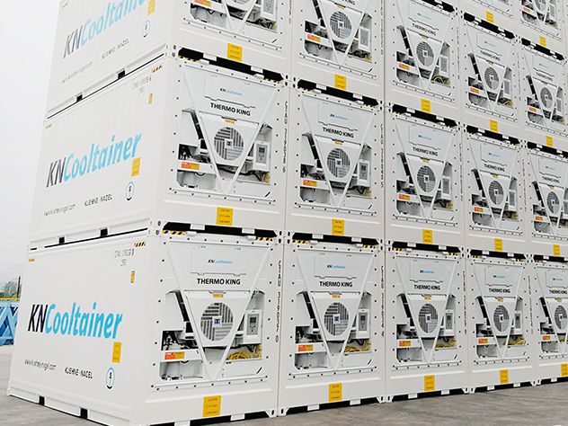 Logística para contenedores refrigerados - Transporte marítimo